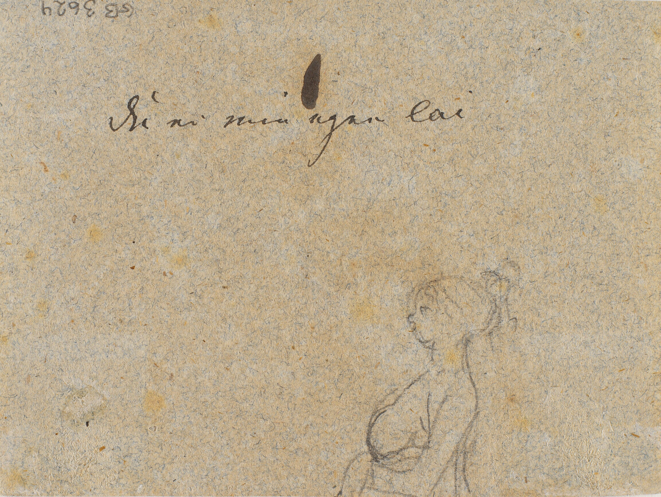 Det øverste af en kvindefigur i profil